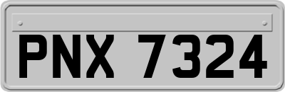PNX7324