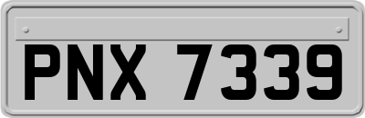 PNX7339