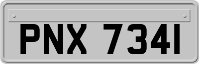 PNX7341