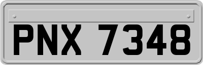 PNX7348