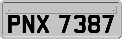 PNX7387