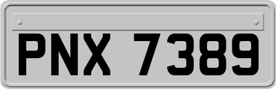 PNX7389