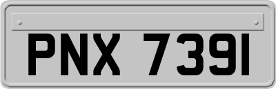 PNX7391