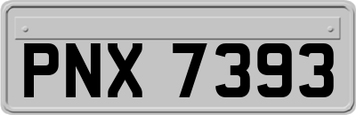 PNX7393