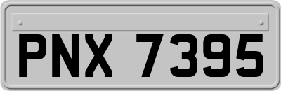 PNX7395