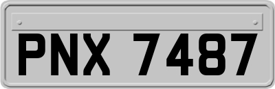 PNX7487