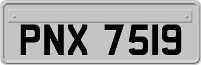 PNX7519