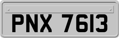 PNX7613