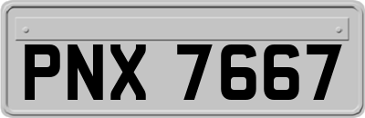 PNX7667