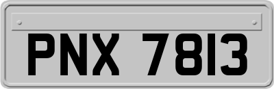PNX7813