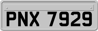 PNX7929