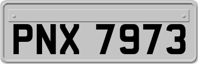 PNX7973