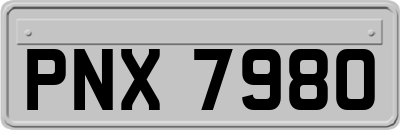 PNX7980