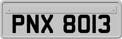 PNX8013