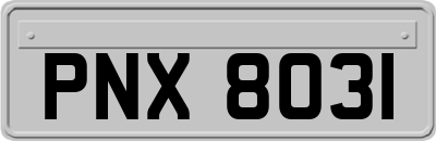 PNX8031