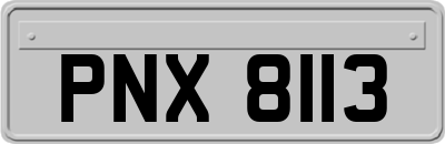 PNX8113