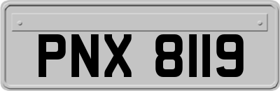 PNX8119