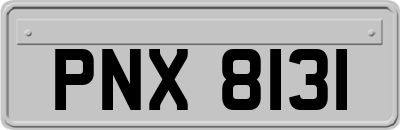 PNX8131