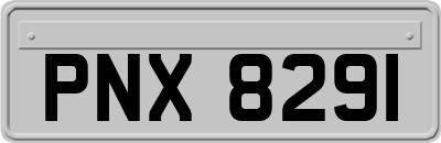 PNX8291