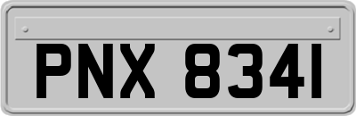 PNX8341