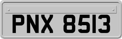 PNX8513
