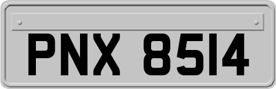 PNX8514