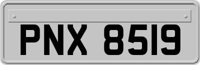 PNX8519
