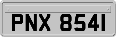 PNX8541