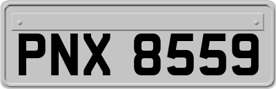 PNX8559
