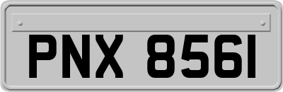 PNX8561