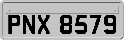 PNX8579