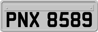 PNX8589