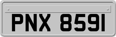 PNX8591