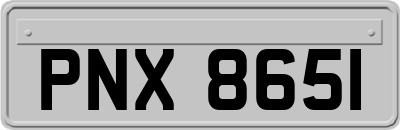 PNX8651