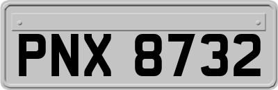 PNX8732
