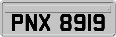 PNX8919