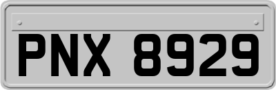 PNX8929