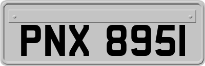 PNX8951