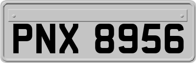 PNX8956