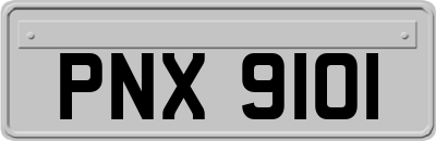 PNX9101