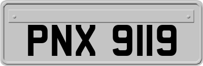 PNX9119