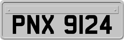 PNX9124