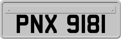 PNX9181