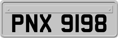 PNX9198
