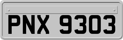 PNX9303
