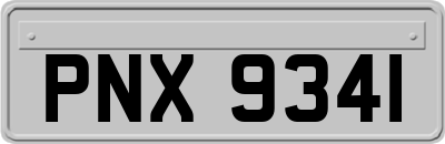 PNX9341