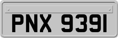 PNX9391