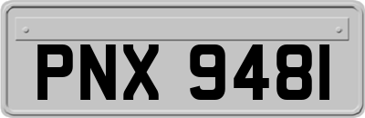 PNX9481
