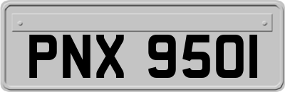 PNX9501