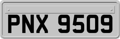 PNX9509